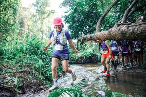 BIB: 
                            <button type="button" onclick="openModal(25466895)" class="btn btn-primary btn-sm float-right btn-popup" data-toggle="modal" data-target=".modal-high-quality">
                        <i class="fas fa-shopping-cart"></i> Add to Cart
                    </button>
                                            <button type="button" onclick="isThisMe(25466895, true)" class="btn btn-success btn-sm float-right btn-popup btn-isme hidden" data-toggle="tooltip" data-placement="bottom" title="นี่คือรูปของคุณใช่ไหม คลิกที่นี่เพื่อเอาเข้าอัลบั้ม">
                        <i class="fas fa-plus"></i> Add to album
                    </button>
                    <button type="button" onclick="isThisMe(25466895, false)" class="btn btn-warning btn-sm float-right btn-popup btn-isnotme hidden">
                        <i class="fas fa-ban"></i> Remove from album
                    </button>